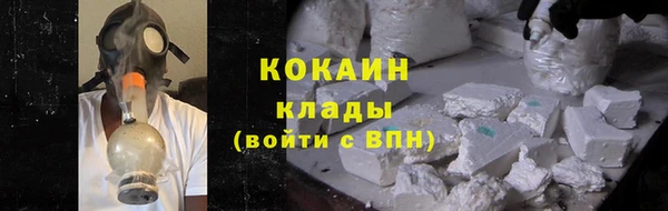 кокс Алексин
