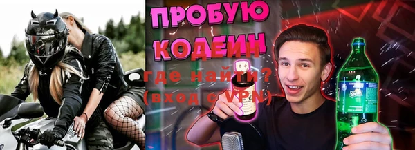 кокс Алексин
