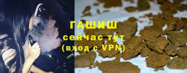 сатива Новозыбков